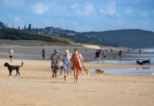 Sunshine Coast dog owners on alert