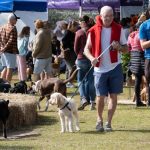 dogs_292141_05.jpg