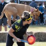 dogs_292141_06.jpg