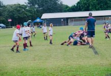 No prisoners in Noosa v Noosa