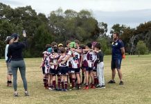 Great team work paid off for Dolphins