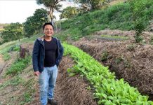 Chef realises paddock to plate dream