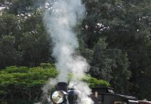 Rattler one of state’s best experiences