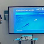 sharksmart_294180_01.jpg