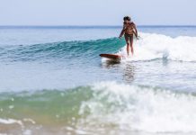 Trivia for climate awareness