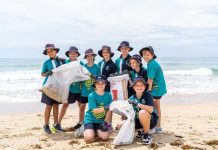 Beach clean up for turtles