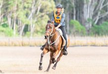 Wondai rider wins Queensland endurance event