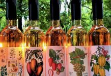 Creativity brews in shadow of Mt Pinbarren