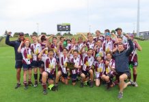 Wins all round for Dolphins