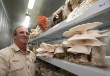 Cooloola farms open their gates