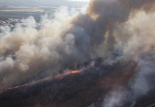 Recent rain won’t dampen bushfire threat