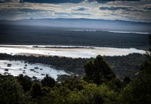 Better boating behaviour on Noosa River
