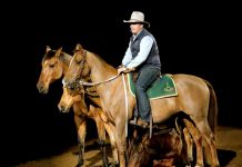 Famous Horseman set to perform in Noosa