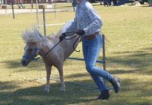 Visit Council’s Noosa Country Show marquee