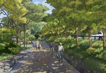 Have your say on designs for a new pathway along Noosa Drive
