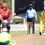 cricket_298500_02.JPG