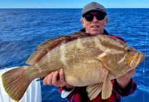 Holidays on the horizon