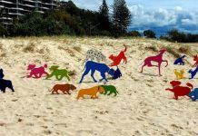 Playtime on the beach