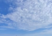 Trip of a lifetime in an Ioniq Electric