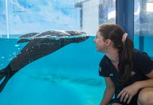 Birubi creates a splash