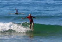 Harry, Harry, Oi, Oi, Oi!