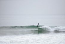 Bringing home the bacon