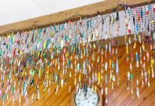 The lure of Noosa River