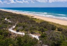 Check out this pathway to your next adventure