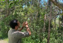 Citizen scientist program ‘benefits are huge’