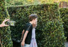 aMAZEing transformation awarded