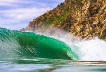 Mexy oil spill devastation