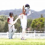 cricket_307969_01.jpg