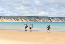 K’Gari ’made’ the reef