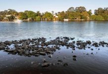 Partnership restoring marine habitat