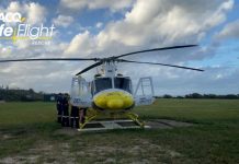 Boy airlifted after dingo attack