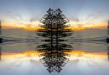 Exhibition of pleasure and leisure