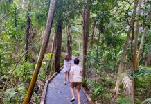 Where you can explore new ‘eco’ boardwalk