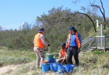 United as one for victims of domestic and family violence