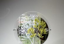 Floating Land scores trophy