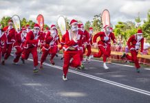 See the magic of Christmas take over Cooroy