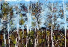 Midsummer magic in the land down under