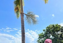 Easy as ABC for former star footballer