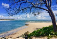 Have your say on our river