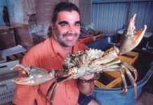 Something fishy about Dr Chris