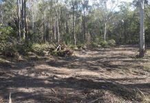 Report shows reduction in tree clearing