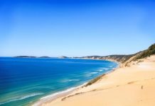 Protecting Gympie’s wild sides