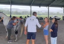 Bright start to 2023 for endurance riders