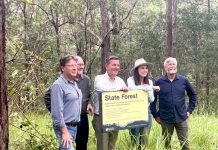 West Cooroy NP free for all