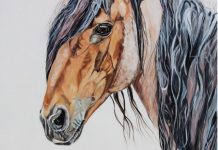 New equine art prize and exhibition to support mental health