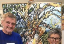 Outback expo at Noosa Gallery